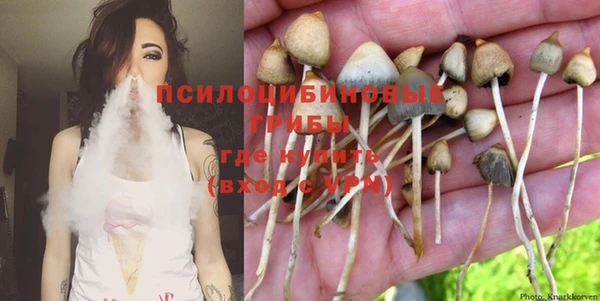 крисы Алексин