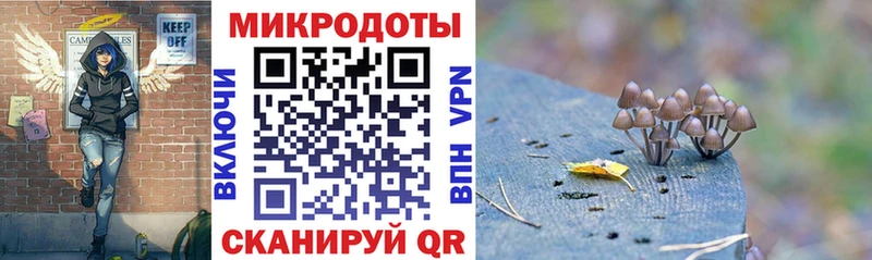Псилоцибиновые грибы Magic Shrooms  где найти наркотики  кракен tor  Ивангород 