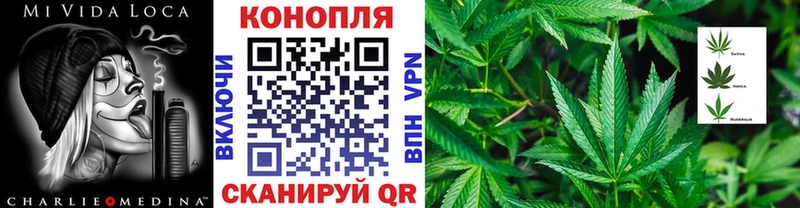 Бошки Шишки SATIVA & INDICA купить закладку Ивангород